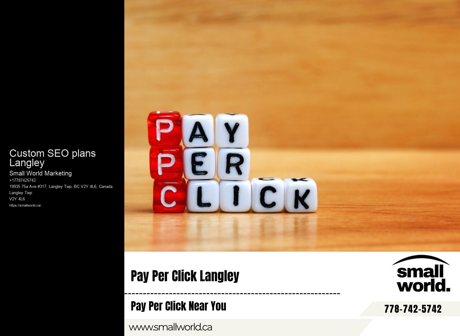 Custom SEO plans Langley SEO for niche markets