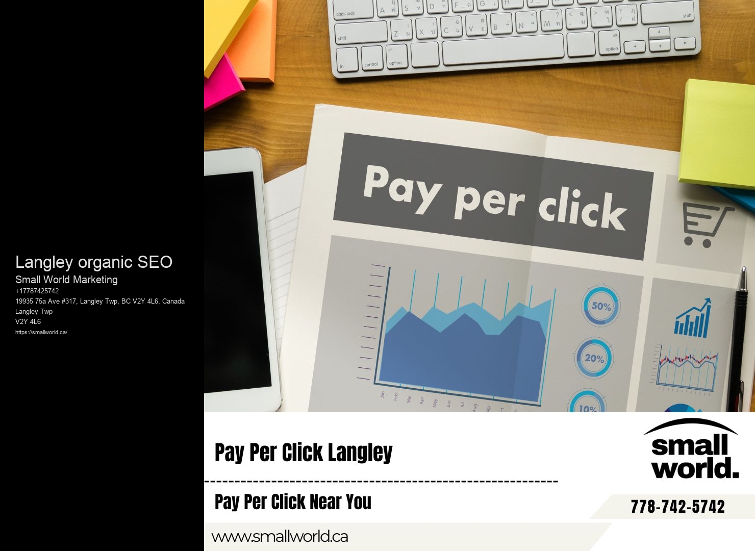 Langley organic SEO SEO agency insights