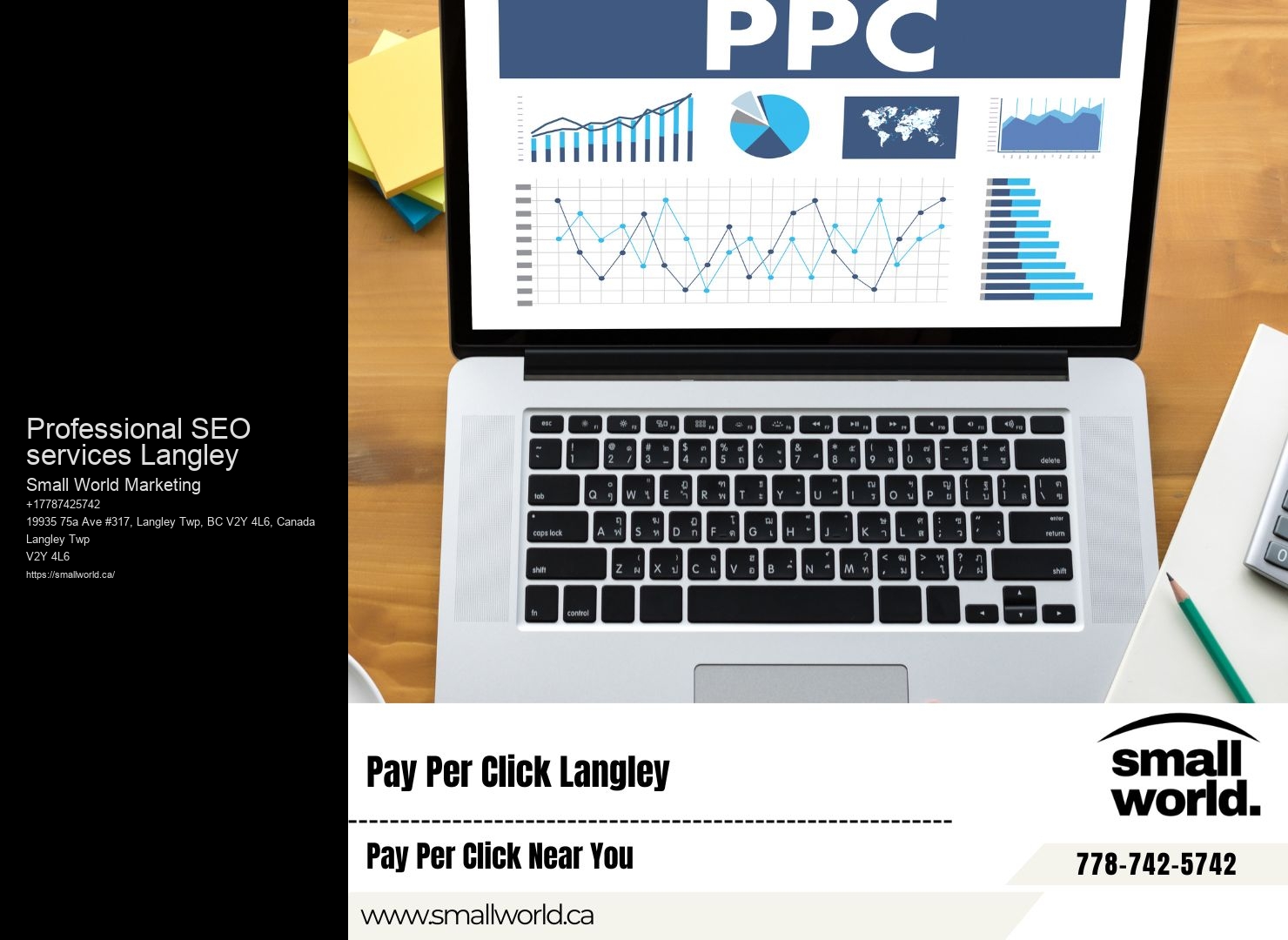 Professional SEO services Langley SEO Expert Services