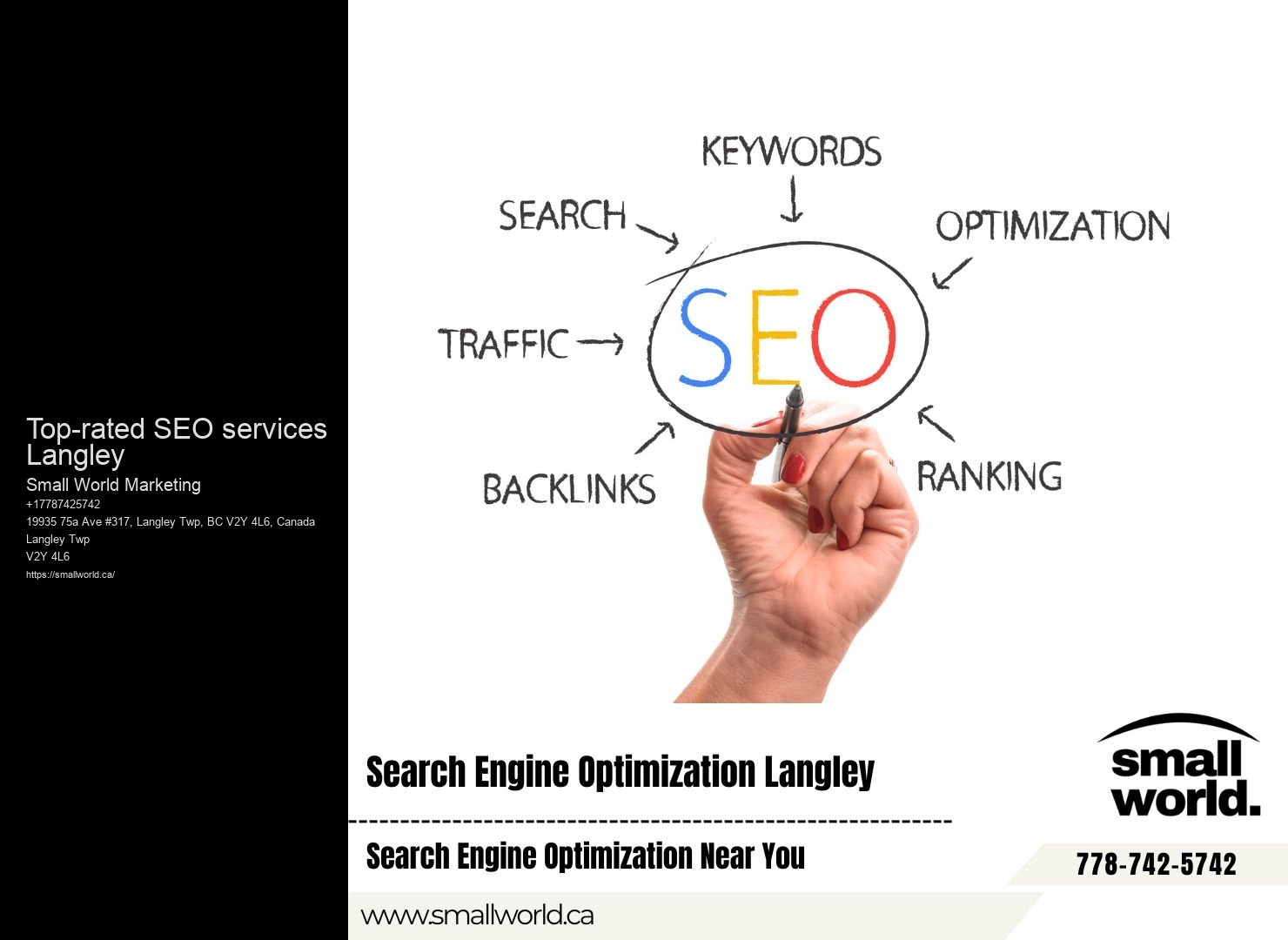 Top-rated SEO services Langley
